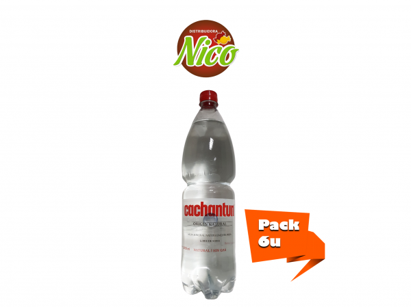Cachantun 1600 ml sin Gas